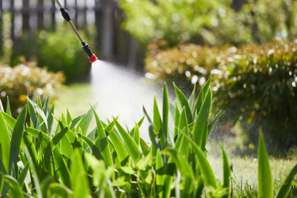 24/7 Emergency Mosquito Control experts in Elko, NV